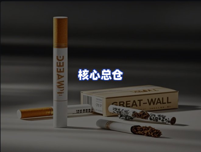 专业团队